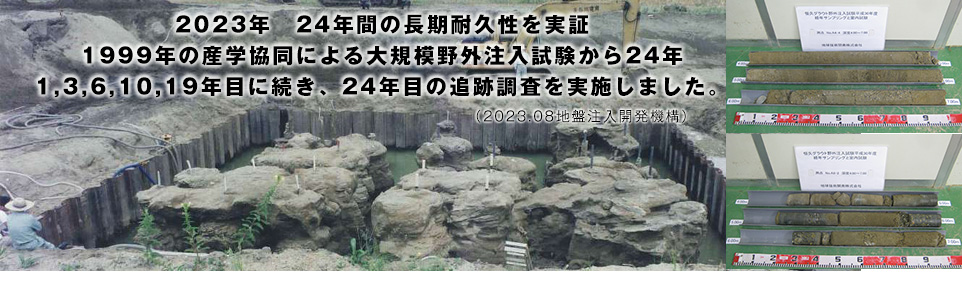 大規模野外注入試験から24年